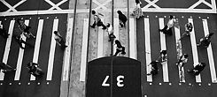 panel-img