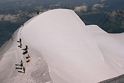 panel-img