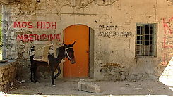 panel-img