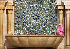 panel-img