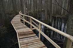 panel-img