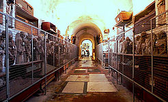 panel-img