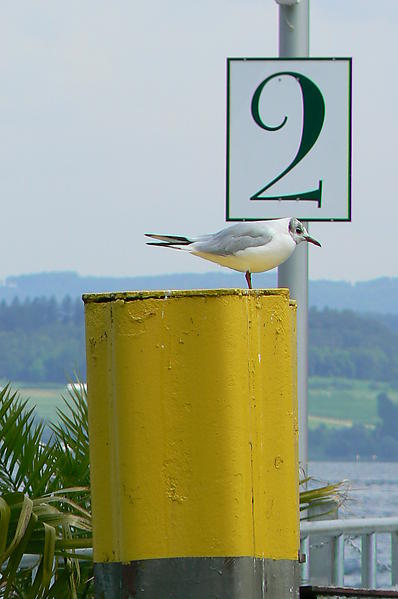 Meersburg