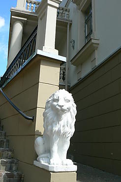 panel-img