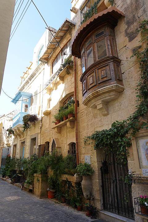 DSC06399
