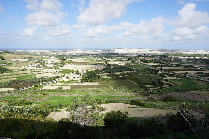 DSC06530