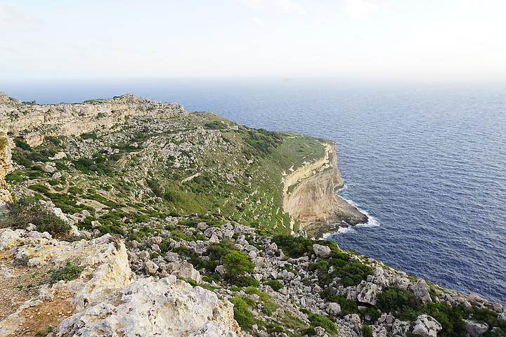 DSC06636