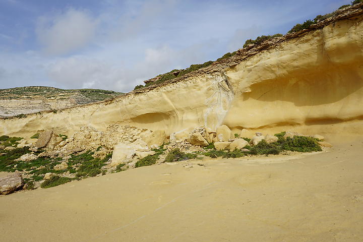 DSC06731