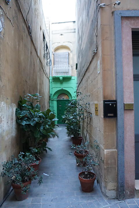 DSC06883
