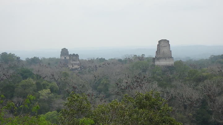 04-27 21 Tikal