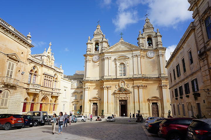 DSC06519