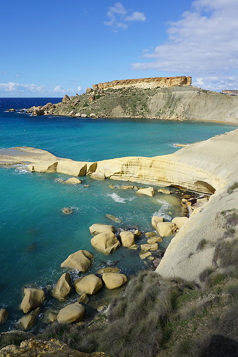DSC07229