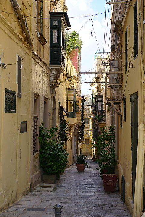DSC07477