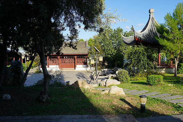 DSC07545