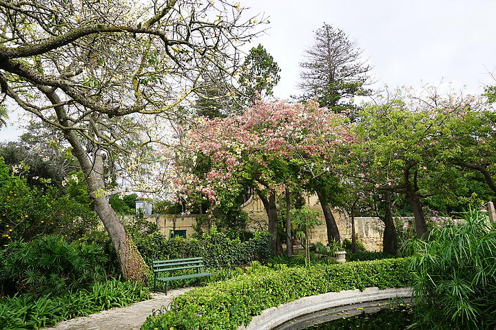 DSC07557