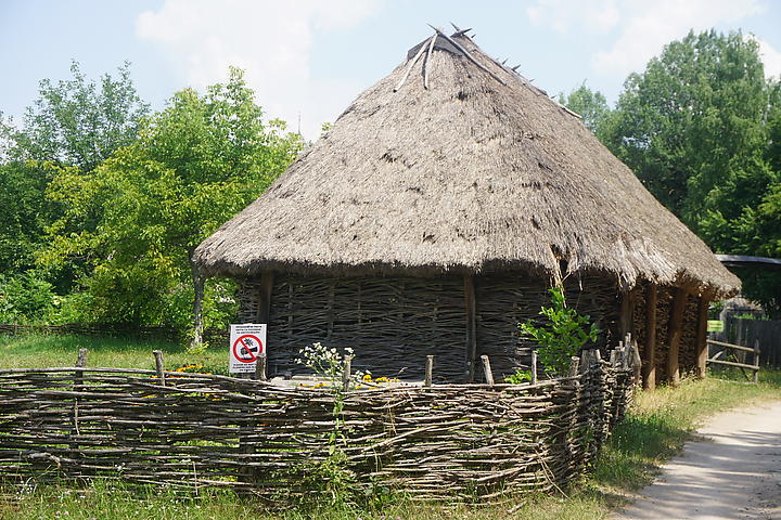 DSC00623