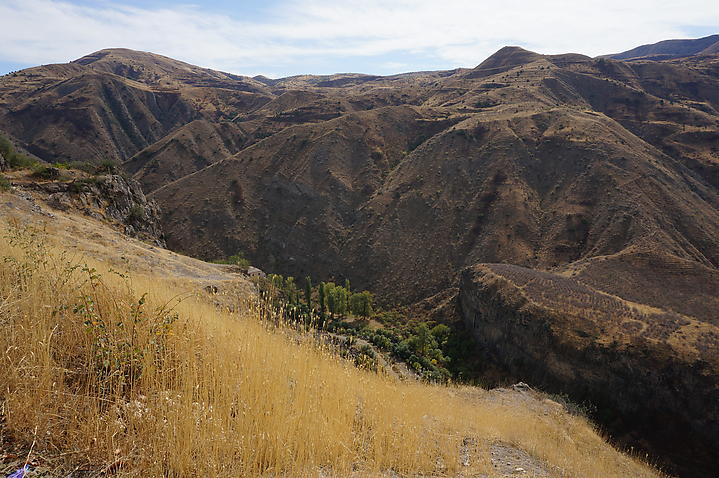 11. Garni